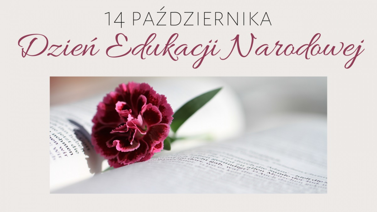 Kwiatek na książce