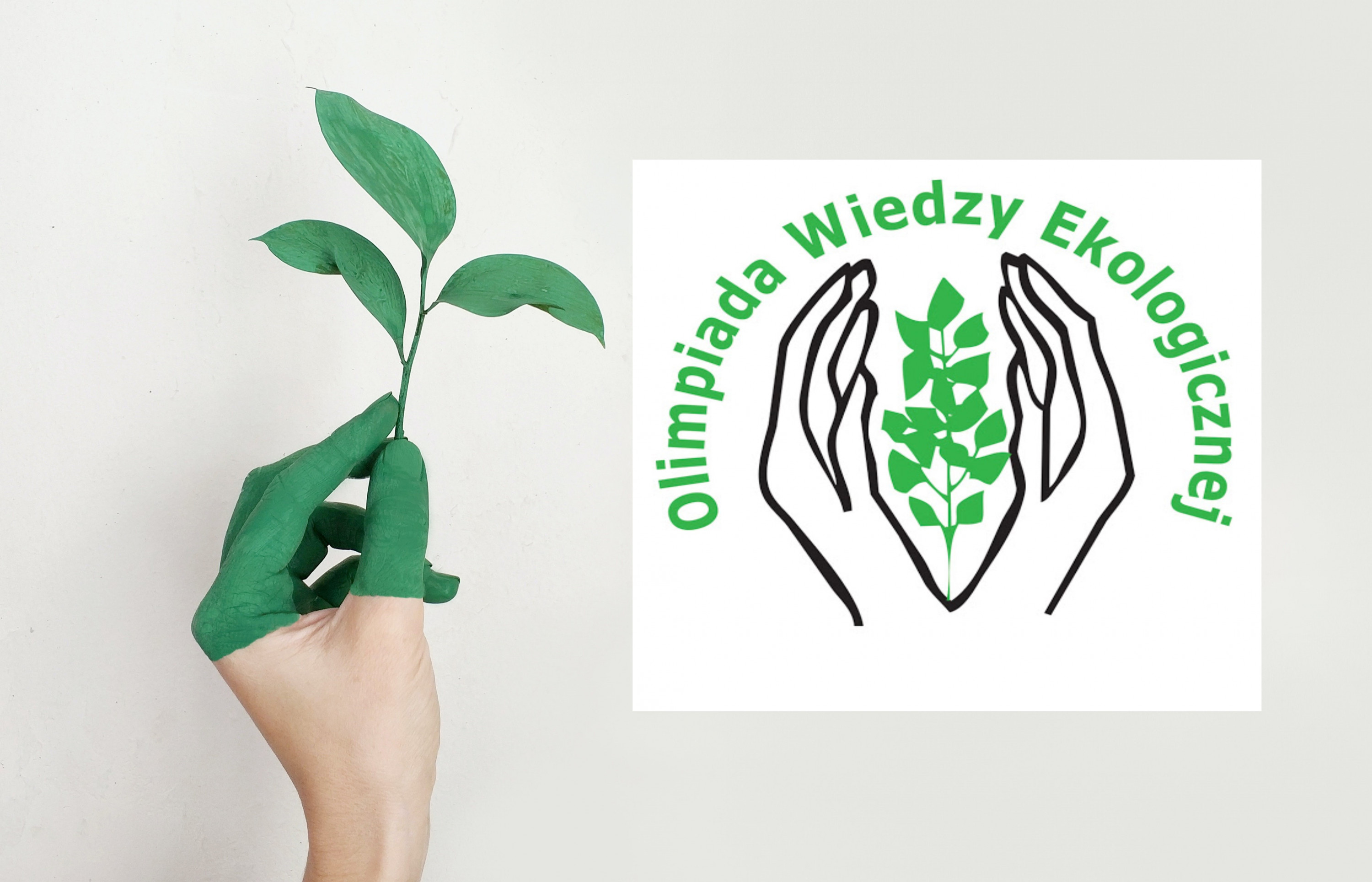 Ikonka Olimpiady Wiedzy Ekologicznej Ikonka Olimpiady Wiedzy Ekologicznej